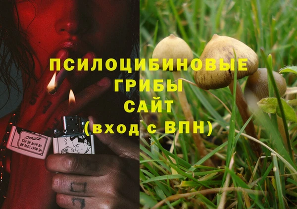 прущий лед Алексин