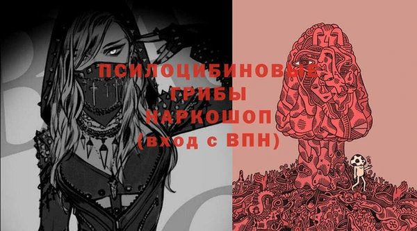 a pvp Алзамай