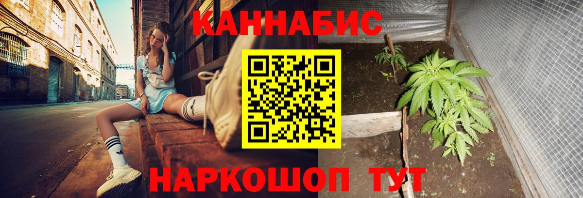 Каннабис планчик Котельники